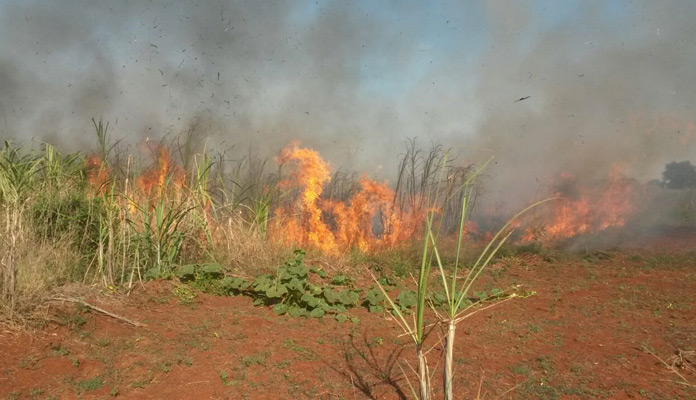 Tempo seco aumenta a incidência de incêndios em terrenos, matas e quintais (Foto: Assessoria de Imprensa da PMI)