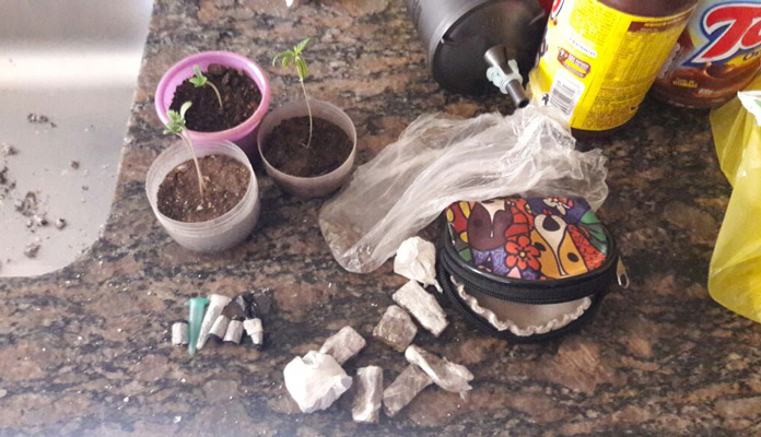 Drogas encontradas no interior da residência (Foto: Divulgação PC)