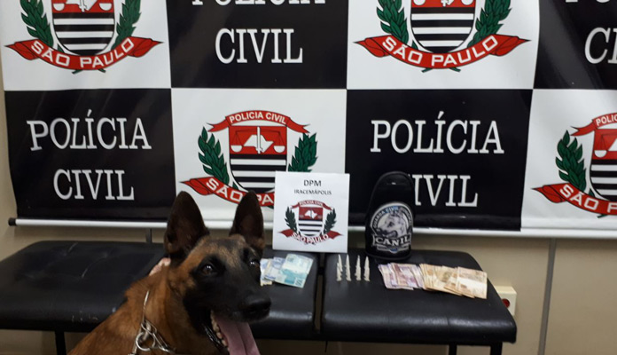 Cadela Jade posa ao lado das drogas e dinheiro encontrados  e apreendidos em operação (Foto: Polícia Civil)