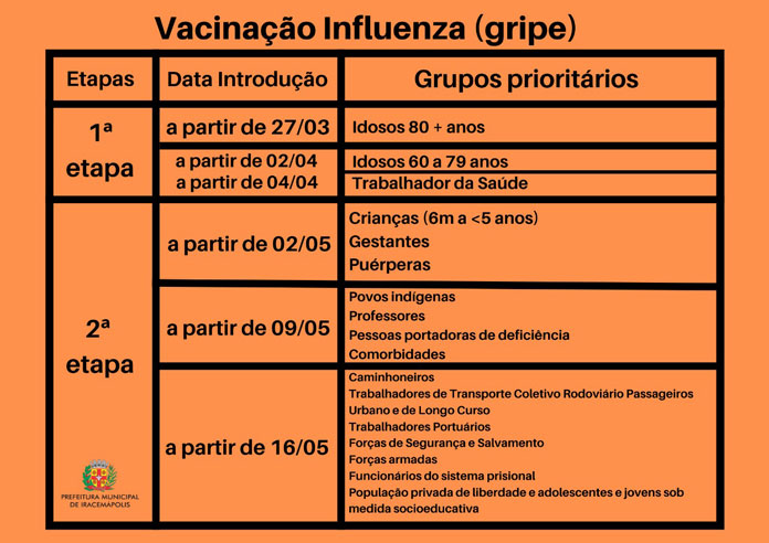 Confira no gráfico o calendário para a imunização contra a Influenza (Foto: Divulgação)