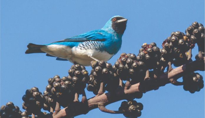 exposicao-fotografica